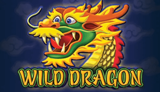 WildDragonAM